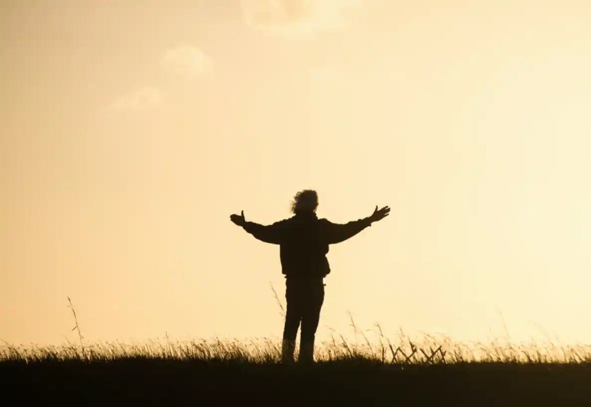 silhouette of person standing with their arms spread out in a field at sunset
